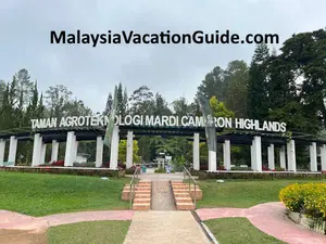 MARDI-Agrotech-Cameron Highlands
