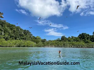 Pulau Singa Besar