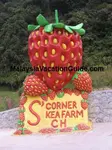 S Corner Strawberry Entrance