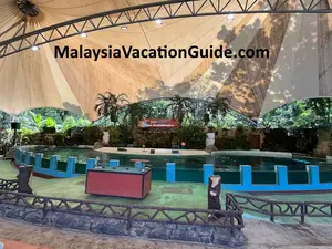 Zoo Negara Animal Shows