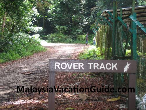 FRIM Rover Track