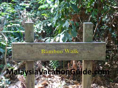 Bamboo Walk Signage.