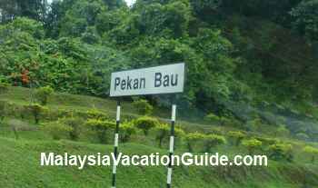 Pekan Bau Signage