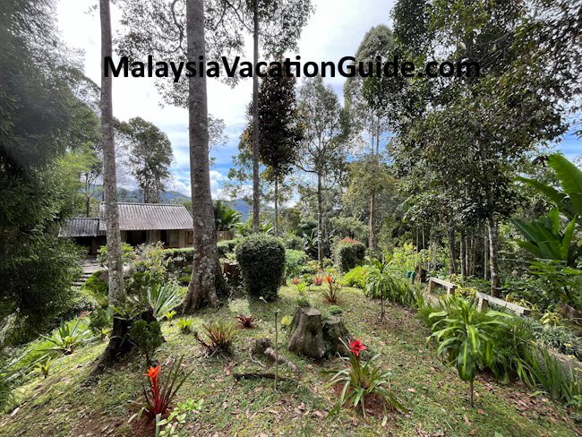 Berjaya Hills Japanese Garden View