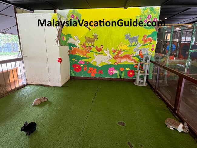 Berjaya Hills Rabbit Park