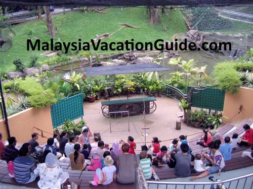 Kuala Lumpur Bird Park Amphitheater Show