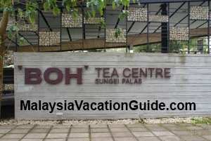 Boh Tea Centre Sungai Palas