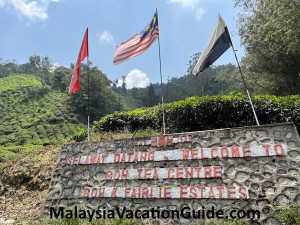 Boh Tea Garden Cameron Highlands