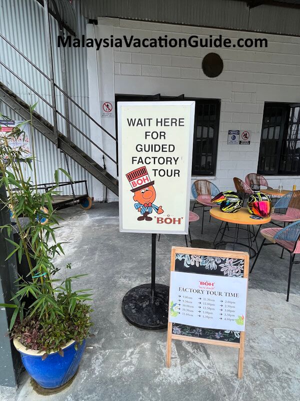 Boh Tea Garden Factory Tour Cameron Highlands Boh Tea Garden Factory Tour Cameron Highlands