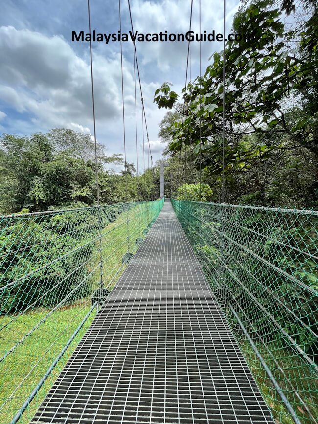 Bukit Kerinchi Steel Bridge