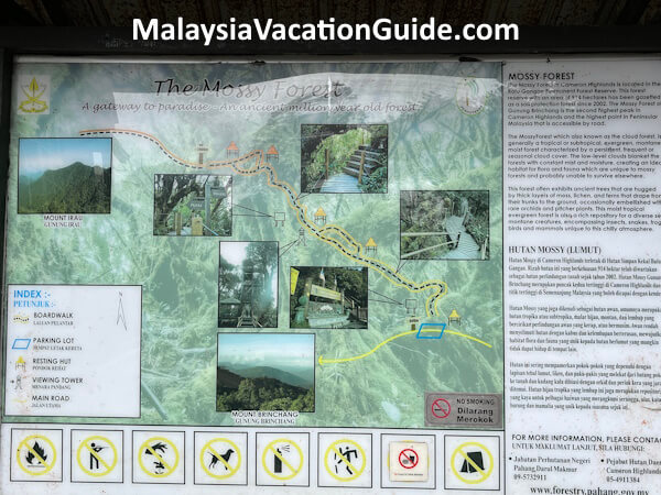 Cameron Highlands Mossy Forest Signage