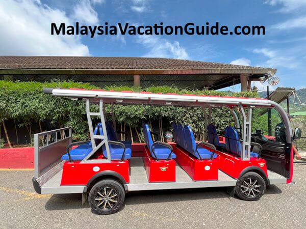 Cameron Valley Tea Buggy