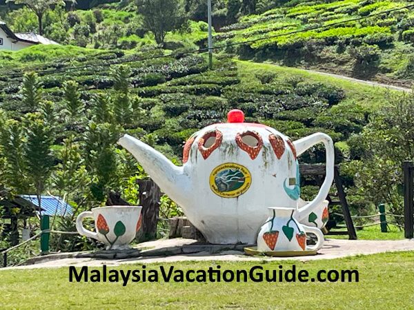 Cameron Valley Tea House 3 Compound