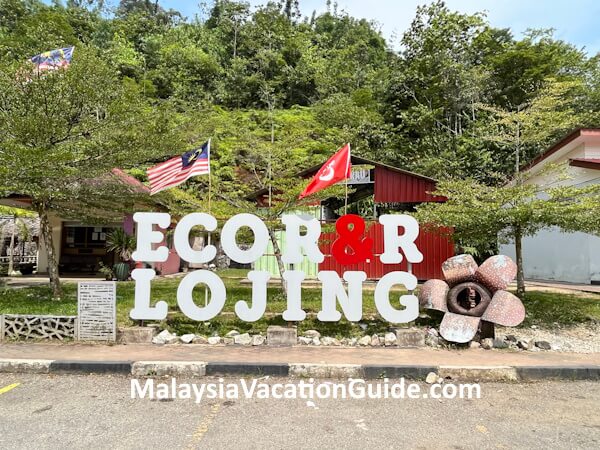 Eco R & R Lojing