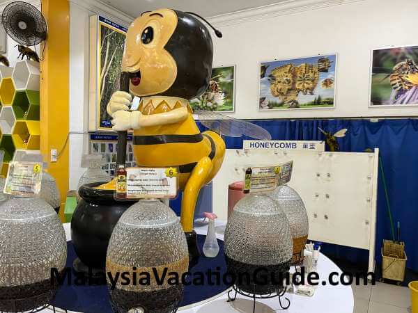 Giant B Honey Tasting