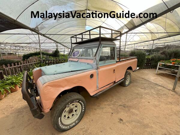 Green View Garden Antique Car Green View Garden Antique Car