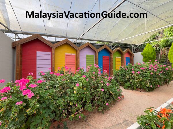 Green View Garden Colourful Decorative Cameron Highlands Green View Garden Colourful Decorative Cameron Highlands