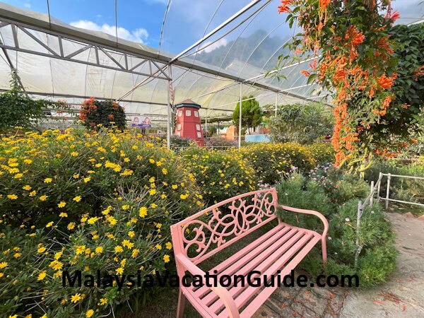 Green View Garden Flowers Green View Garden Flowers