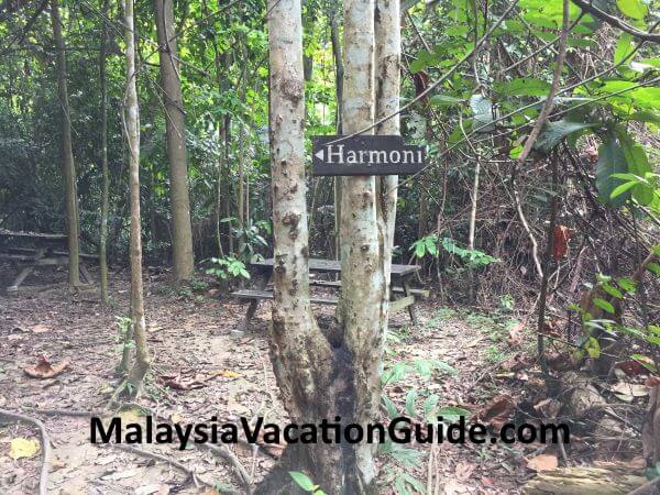 Harmony Trail at Kota Damansara Community Forest