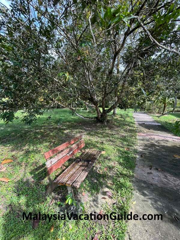 Kepong Botanic Gardens Bench