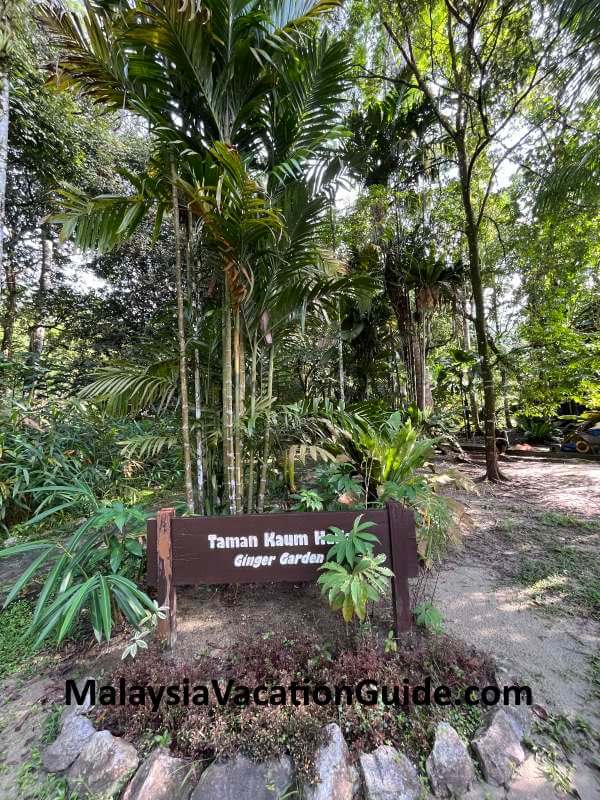 Kepong Botanic Gardens Ginger Garden