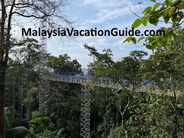 Kepong Botanic Gardens Skywalk Structure