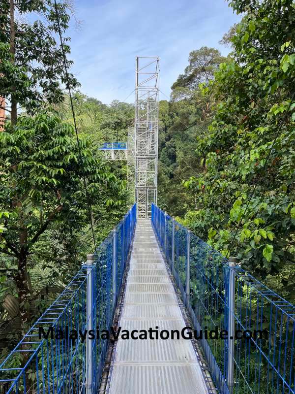 Kepong Botanic Gardens Skywalk