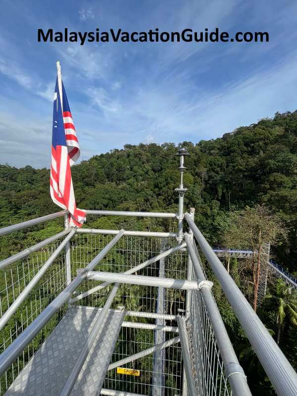 Kepong Botanical Gardens Skywalk Peak