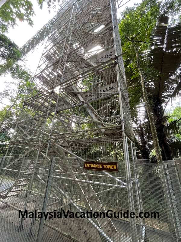 Kepong Botanical Gardens Skywalk Tower 1