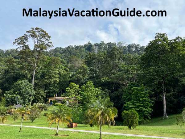 Kepong Botanical Gardens Skywalk