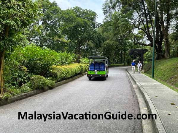 KL Perdana Botanical Gardens Buggy