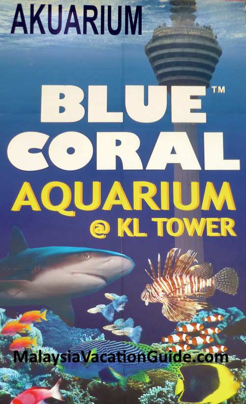 Blue Coral Aquarium