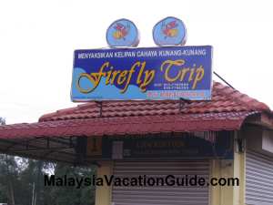 Kota Tinggi Firefly Tour