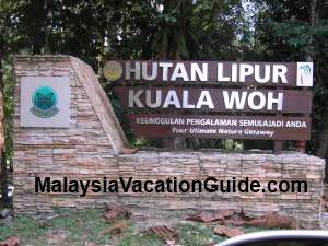 Hutan Lipur Kuala Woh