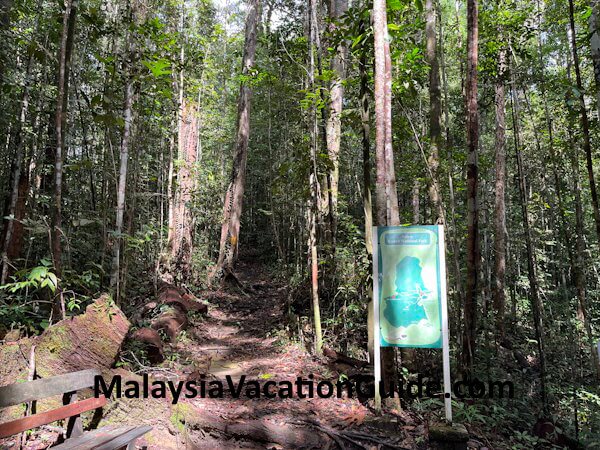 Kubah National Park Trail