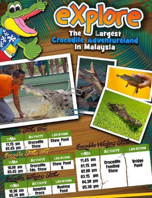 Activities schedule at Langkawi Crocodile Farm