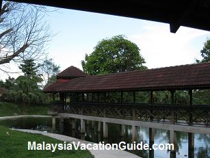 The Bridge Pond Langkawi Crocodile Farm