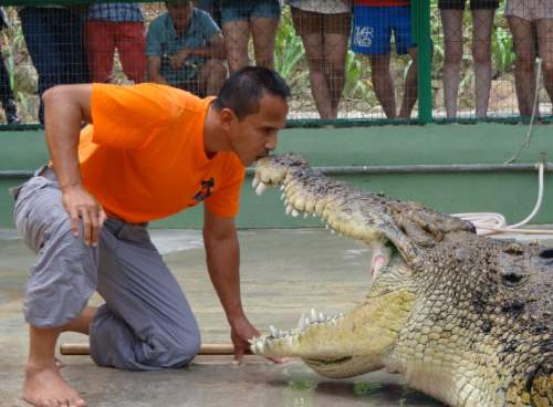 Close encounter with the crocodiles