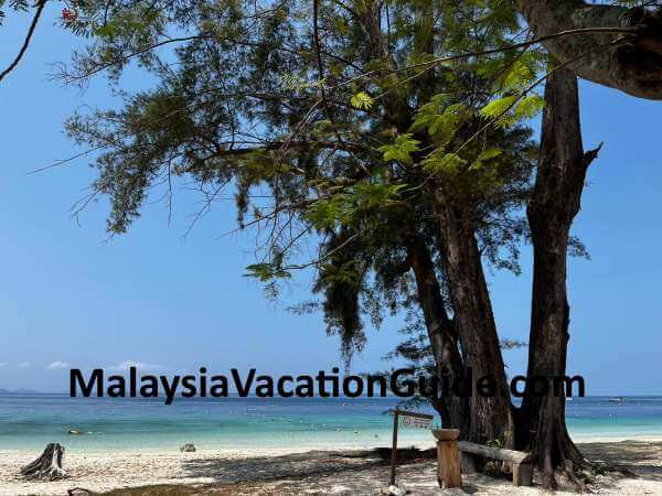 Manukan Island Sandy Beach