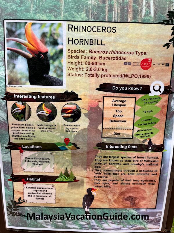 Matang Wildlife Centre Hornbill Info