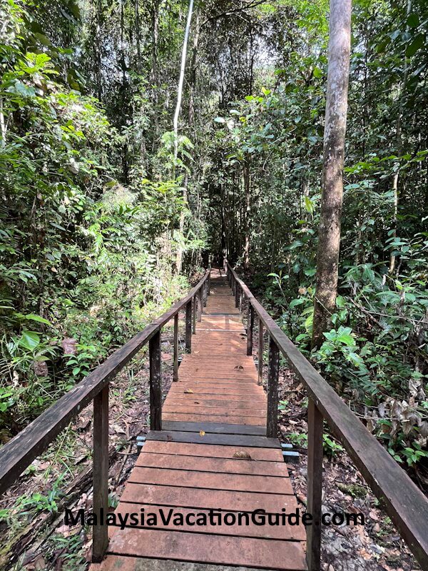 Matang Wildlife Centre Path