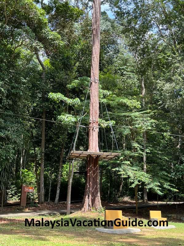 Melaka Botanical Garden Skytrex