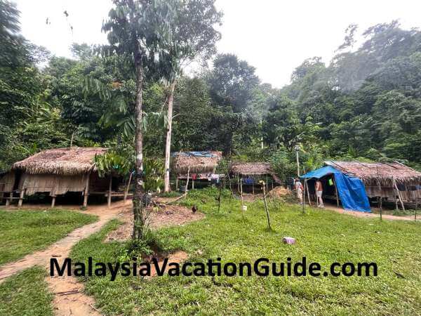 Batek Orang Asli Taman Negara