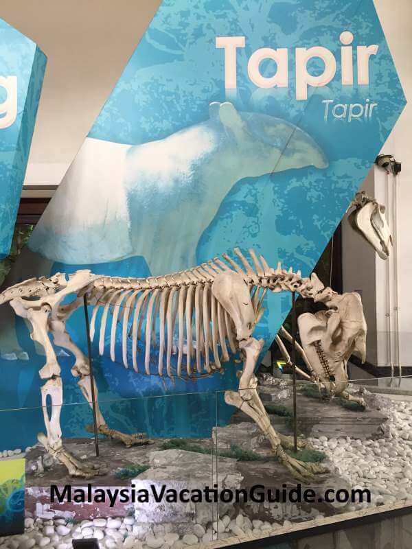 Tapir Perak Museum