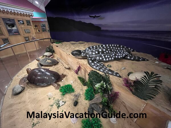 Rantau Abang Turtle Education