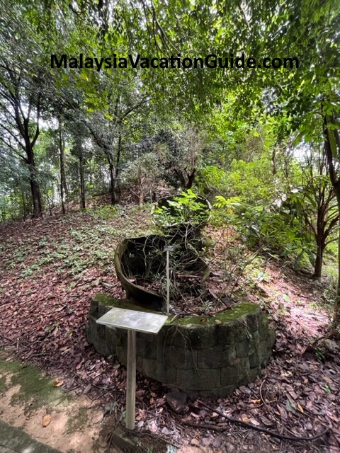 Rimba Ilmu Tree