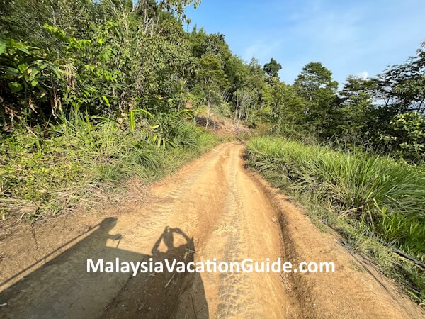 Road to Lojing Rafflesia
