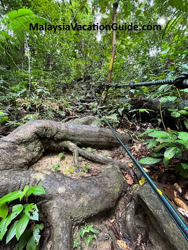 Santubong National Park Slope