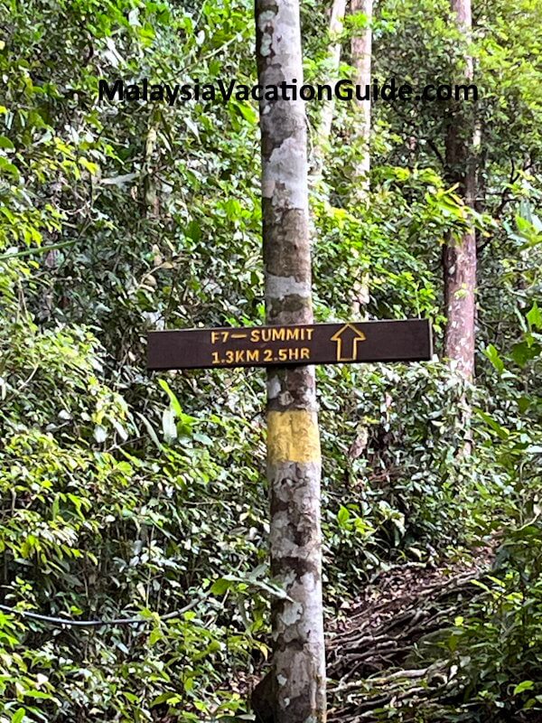 Santubong National Park Trail F7 to Summit