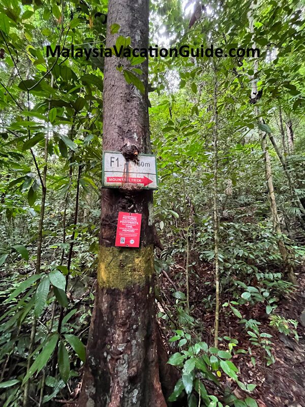 Santubong National Park Trail to F1